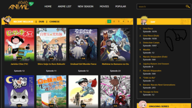 animerulz to apk download