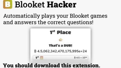 bloket hacks